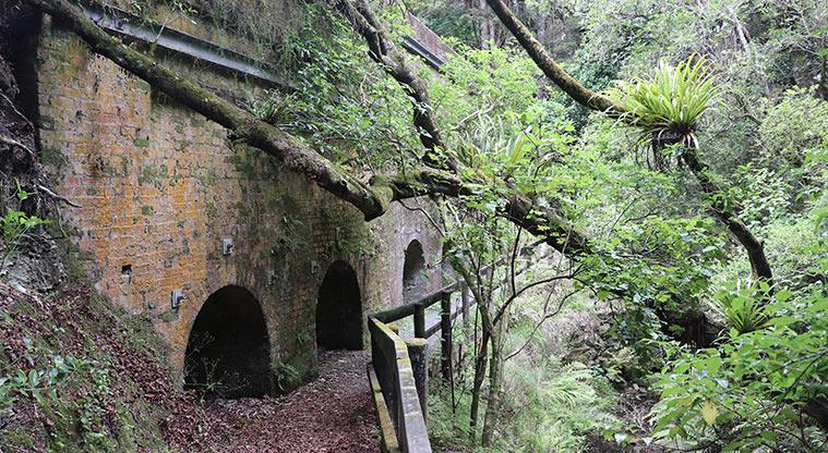 Kowhai Park Scenic Reserve